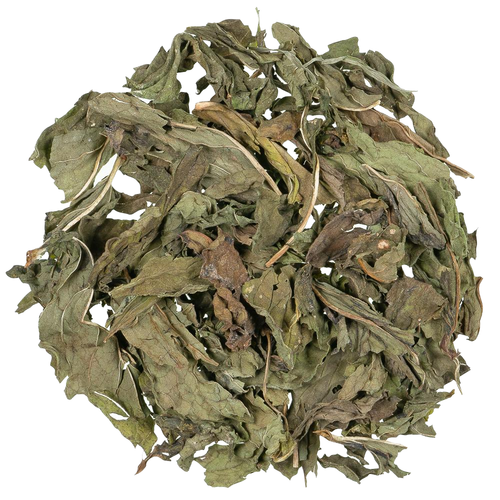 Kruiden infusie Nana Mint