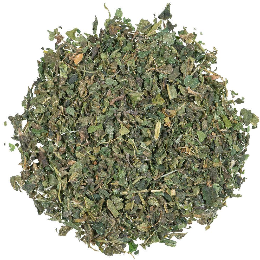 Kruiden infusie Nettle Leaves