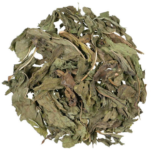 Kruiden infusie Nana Mint